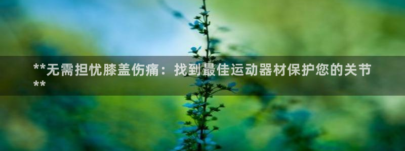 注册意昂3：**无需担忧膝盖伤痛：找到最佳运动器材保
