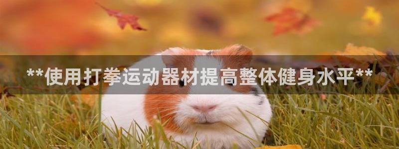 意昂体育3招商电话号码是多少：**使用打拳运动器材提
