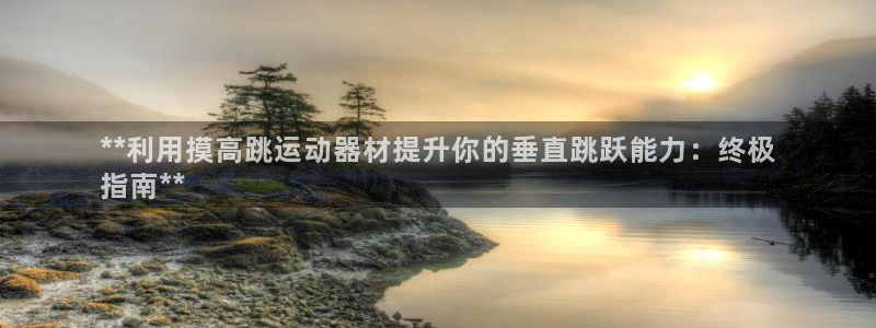 意昂体育3平台注册要钱吗：**利用摸高跳运动器材提升