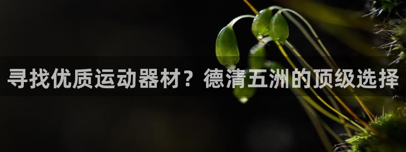 意昂3代理：寻找优质运动器材？德清五洲的顶级选择