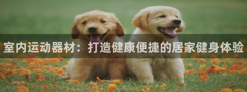 意昂3科技：室内运动器材：打造健康便捷的居家健身体验