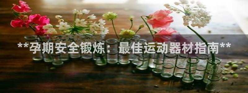 意昂3娱乐：**孕期安全锻炼：最佳运动器材指南**