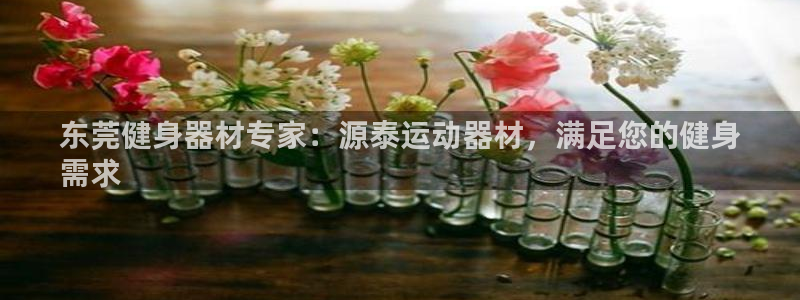 意昂3集团官网网址：东莞健身器材专家：源泰运动器材，