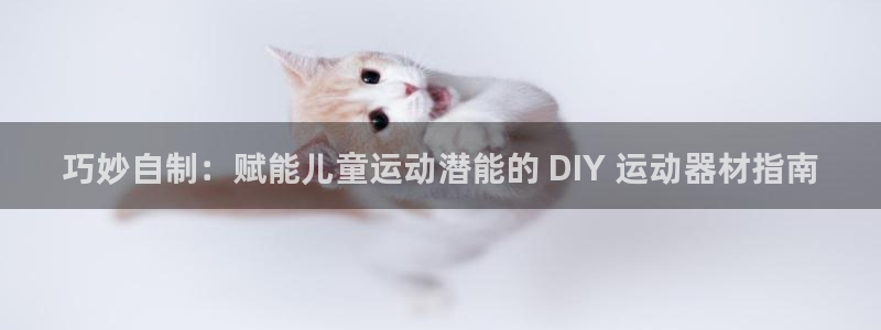 意昂3新能源：巧妙自制：赋能儿童运动潜能的 DIY 