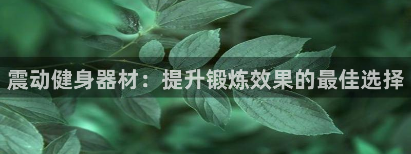意昂3娱乐网站：震动健身器材：提升锻炼效果的最佳选择