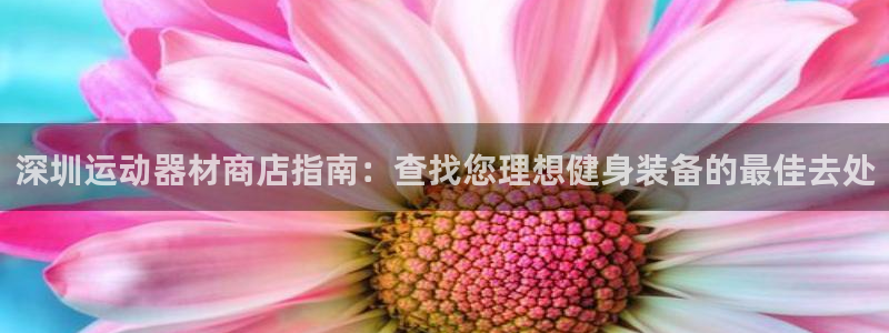 意昂3娱乐平台：深圳运动器材商店指南：查找您理想健身