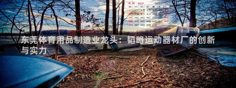 意昂体育3平台是正规平台吗安全吗：东莞体育用品制造业