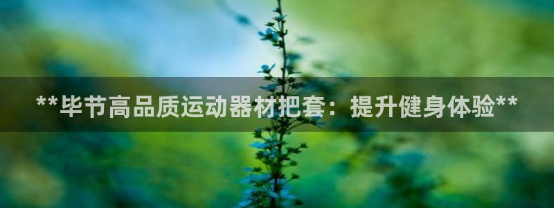 意昂体育3平台是正规平台吗知乎：**毕节高品质运动器