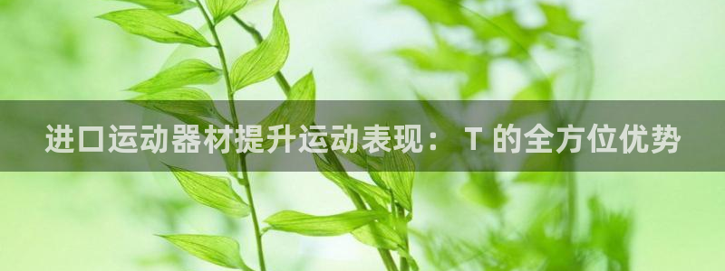 意昂3集团：进口运动器材提升运动表现： T 的全方位