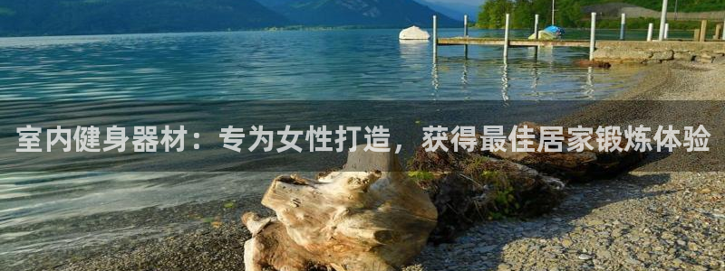 意昂3新能源：室内健身器材：专为女性打造，获得最佳居