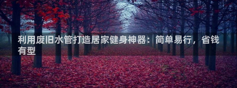 意昂体育3：利用废旧水管打造居家健身神器：简单易行，