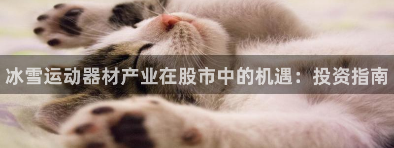 意昂3五金厂：冰雪运动器材产业在股市中的机遇：投资指