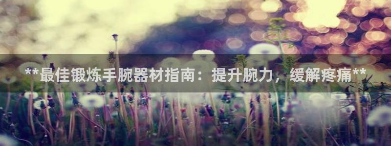 意昂3娱乐40996：**最佳锻炼手腕器材指南：提升