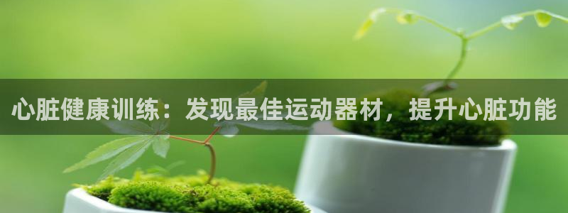 意昂3官方：心脏健康训练：发现最佳运动器材，提升心脏
