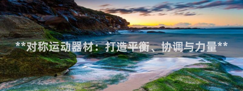 意昂3集团官网首页：**对称运动器材：打造平衡、协调