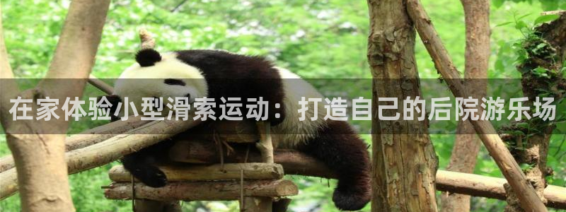 意昂3娱乐平台：在家体验小型滑索运动：打造自己的后院