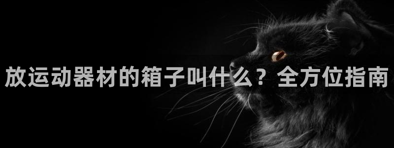意昂3娱乐下载：放运动器材的箱子叫什么？全方位指南