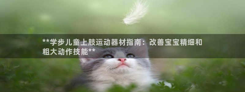 意昂体育3平台注册流程图：**学步儿童上肢运动器材指