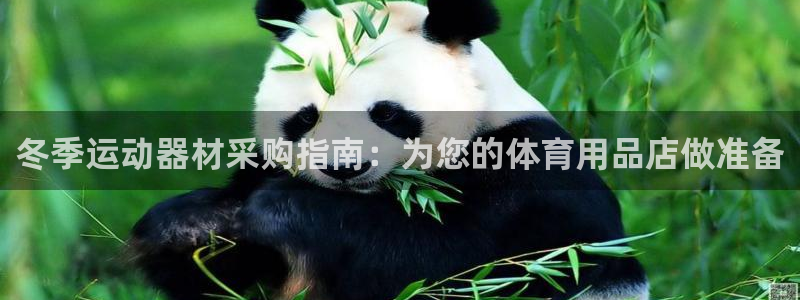 意昂3集团简介：冬季运动器材采购指南：为您的体育用品