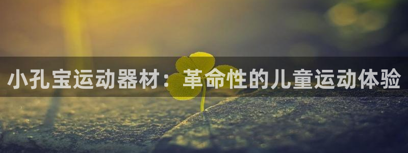 意昂平台体育：小孔宝运动器材：革命性的儿童运动体验