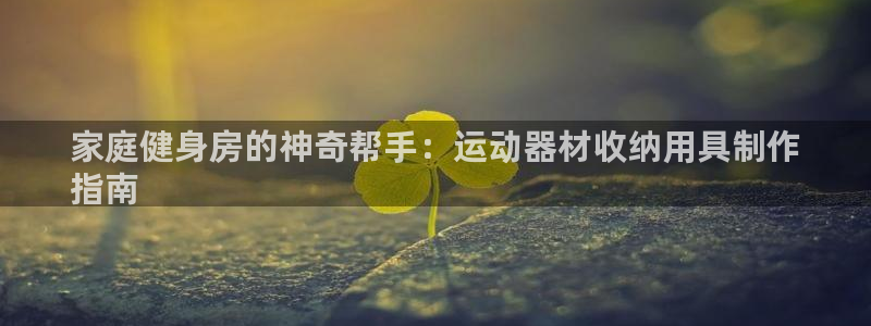 意昂3娱乐代理怎么样：家庭健身房的神奇帮手：运动器材