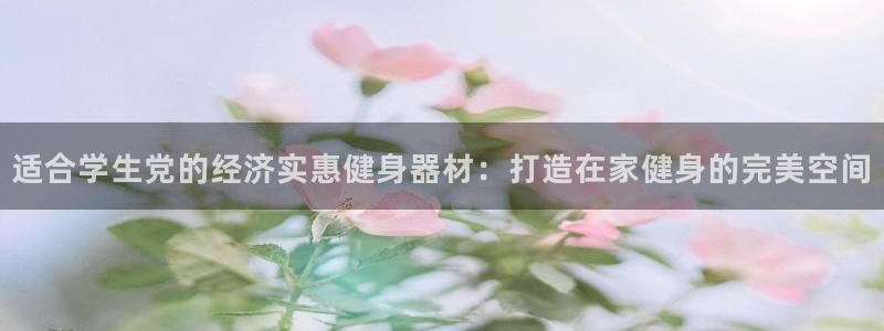 德国意昂3集团：适合学生党的经济实惠健身器材：打造在