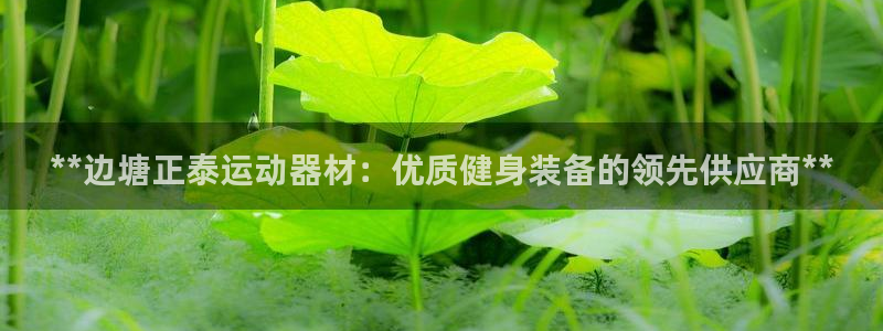 意昂体育3招商电话：**边塘正泰运动器材：优质健身装