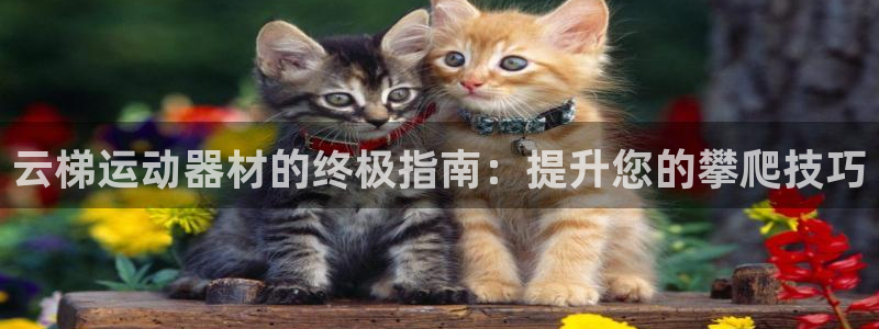 意昂体育3是干嘛的公司：云梯运动器材的终极指南：提升