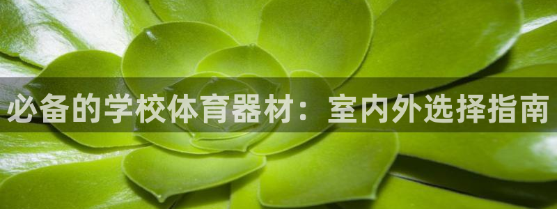 意昂3娱乐是那个系列的台子：必备的学校体育器材：室内