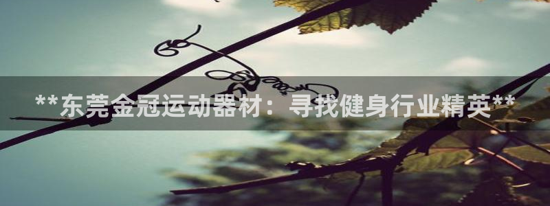 意昂3娱乐是那个系列的台子：**东莞金冠运动器材：寻