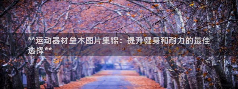 意昂3开户：**运动器材垒木图片集锦：提升健身和耐力