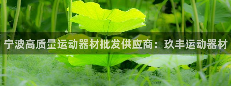 意昂体育3招商电话：宁波高质量运动器材批发供应商：玖