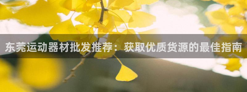 意昂体育3平台假的吗是真的吗吗：东莞运动器材批发推荐