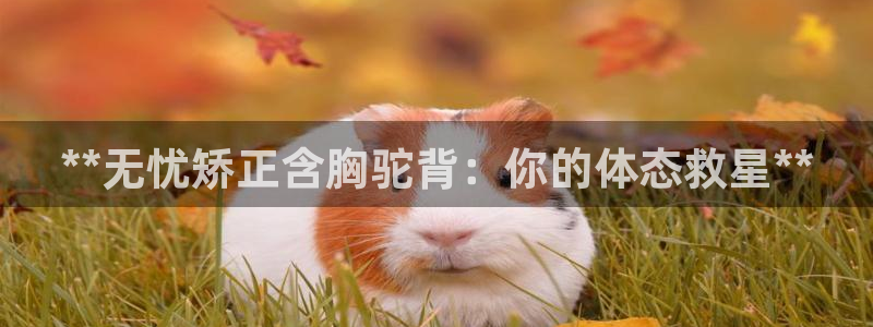 海南意昂体育3：**无忧矫正含胸驼背：你的体态救星*