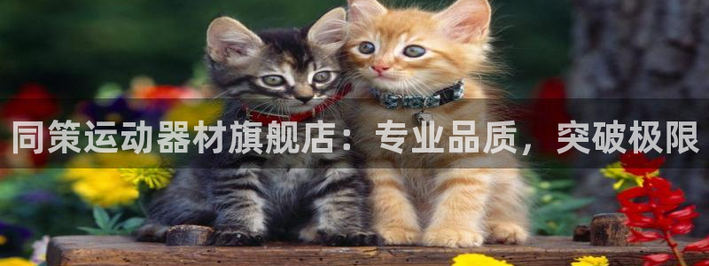 意昂体育3平台是正规平台吗知乎：同策运动器材旗舰店：