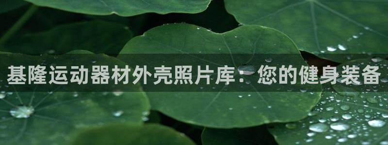 意昂3神州：基隆运动器材外壳照片库：您的健身装备
