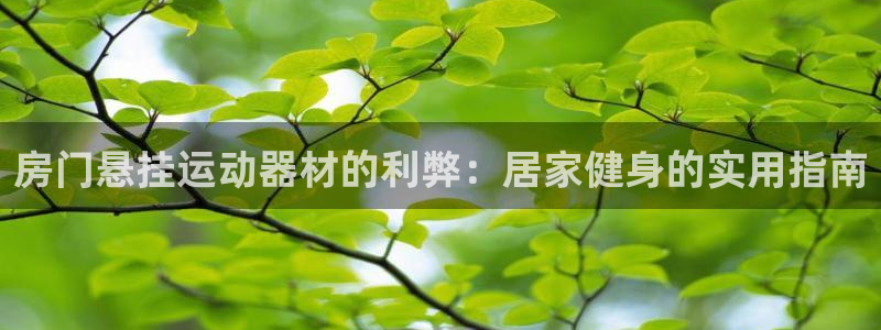意昂体育3招商电话是多少号码：房门悬挂运动器材的利弊