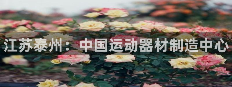 意昂3开户：江苏泰州：中国运动器材制造中心