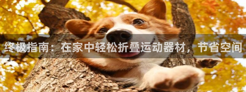 意昂3娱乐平台：终极指南：在家中轻松折叠运动器材，节