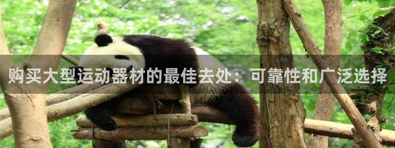 意昂体育3招商电话地址：购买大型运动器材的最佳去处：