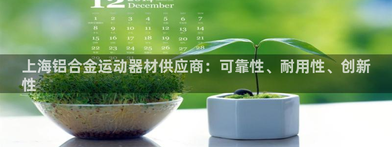 意昂体育3平台注册流程视频：上海铝合金运动器材供应商