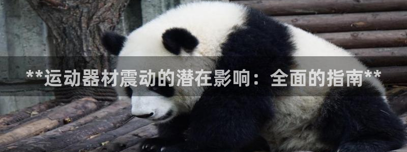 意昂体育3平台注册流程视频：**运动器材震动的潜在影