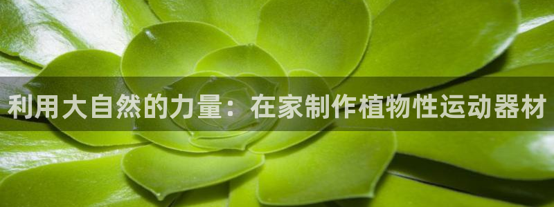 意昂3娱乐40996：利用大自然的力量：在家制作植物