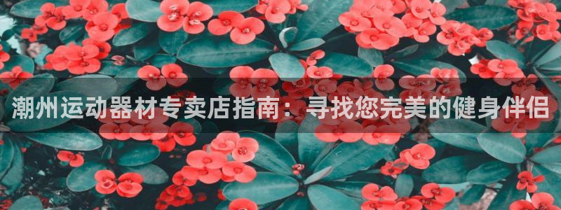 意昂体育3招商电话：潮州运动器材专卖店指南：寻找您完