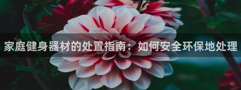 意昂3集团E.ON：家庭健身器材的处置指南：如何安全