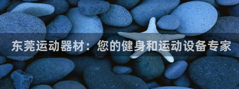 意昂集团官网： 东莞运动器材：您的健身和运动设备专家