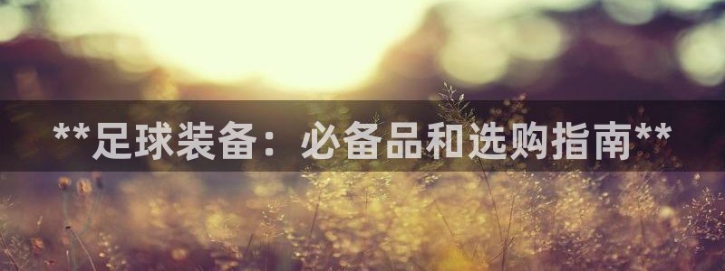 海南意昂体育3发展怎么样：**足球装备：必备品和选购