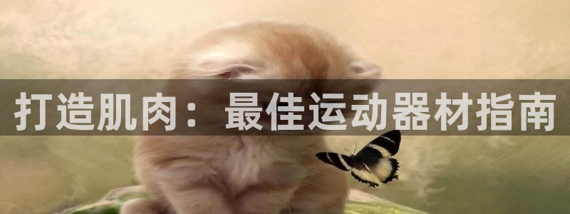 意昂体育3软件：打造肌肉：最佳运动器材指南