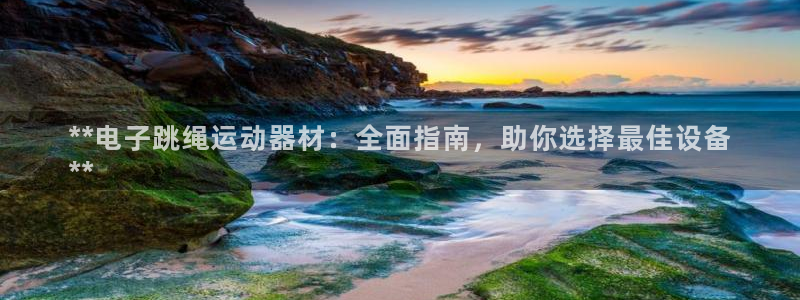 意昂3集团E.ON：**电子跳绳运动器材：全面指南，