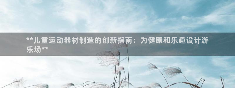 意昂3集团：**儿童运动器材制造的创新指南：为健康和